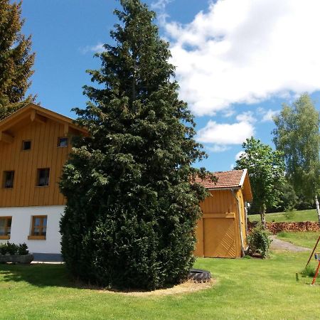 Lovely Holiday Home In Viechtach Near The Forest Εξωτερικό φωτογραφία