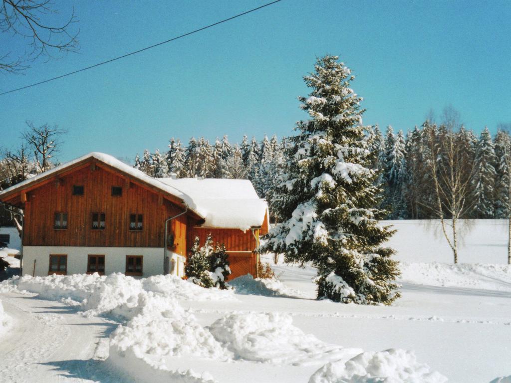 Lovely Holiday Home In Viechtach Near The Forest Εξωτερικό φωτογραφία