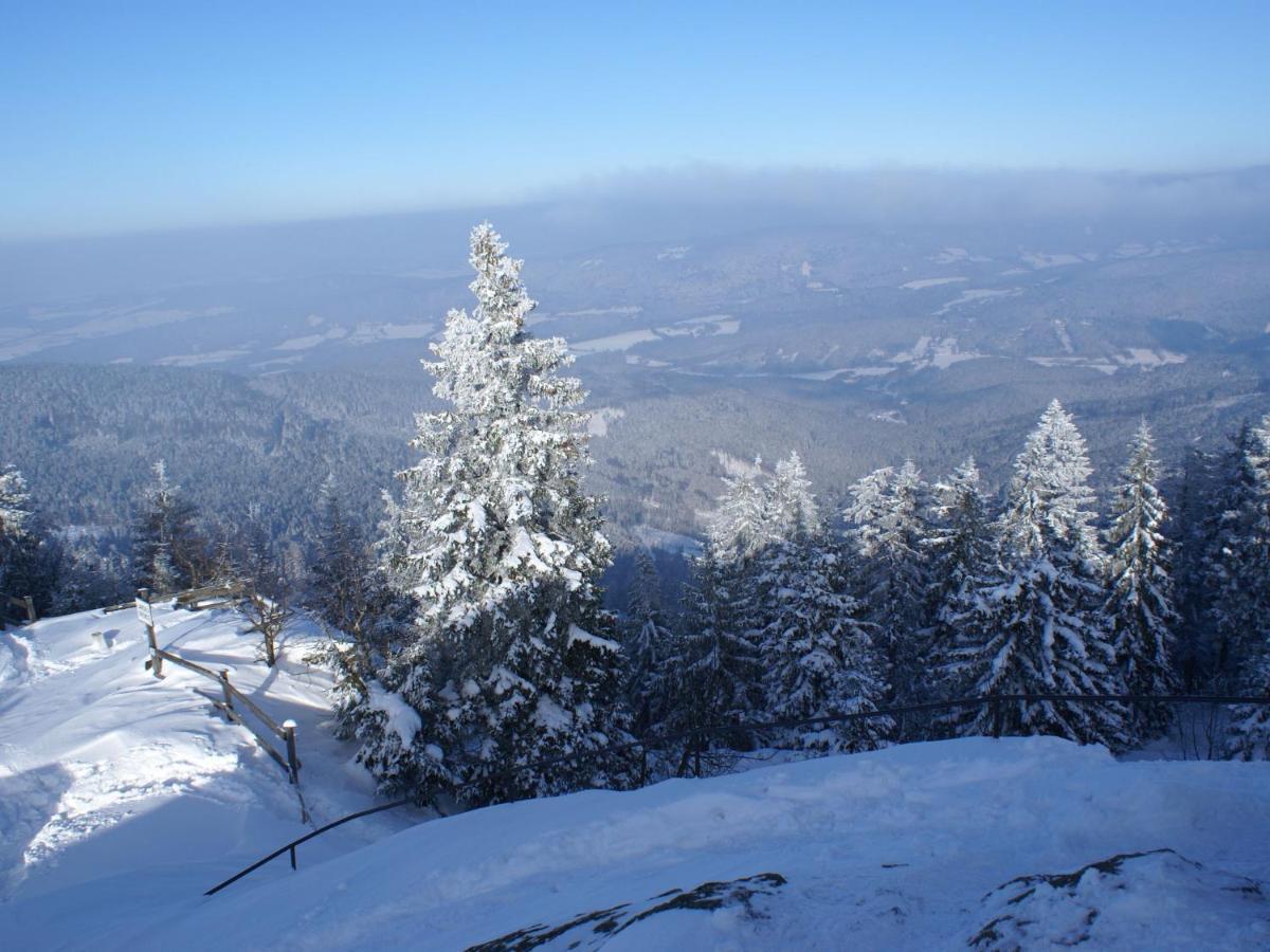 Lovely Holiday Home In Viechtach Near The Forest Εξωτερικό φωτογραφία